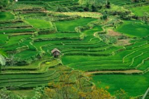 Ha Giang: Vietnam’s Untamed Northern Beauty