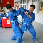 Vovinam: Vietnam’s Homegrown Martial Art